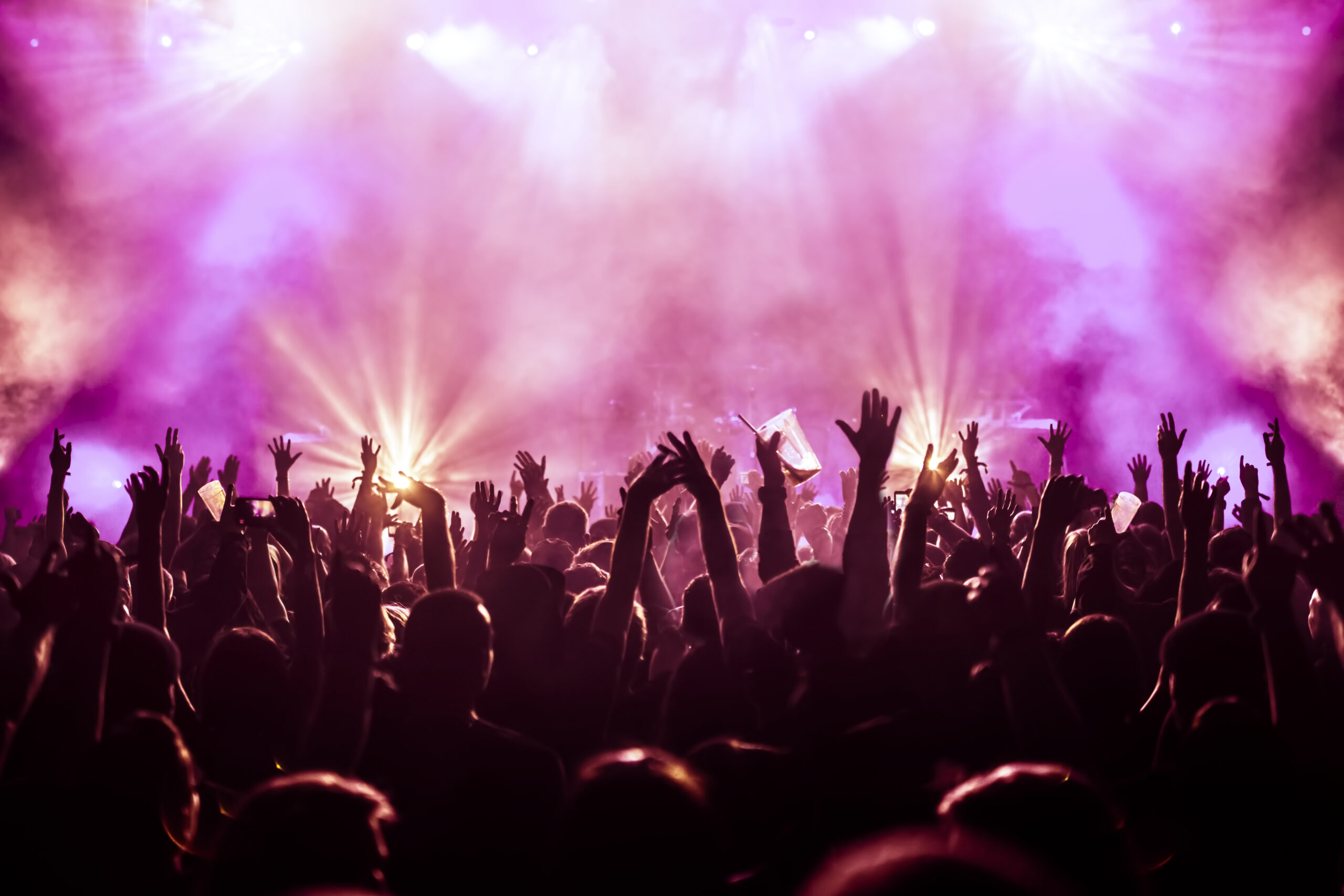 rear-view-silhouette-crowd-enjoying-music-concert